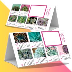 Calendrier Cactus Frère/Sœur 2024-2025